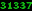Icon 31337