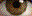 Icon 6005